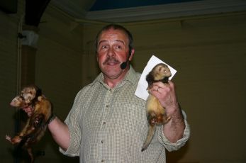 ferret racing 1